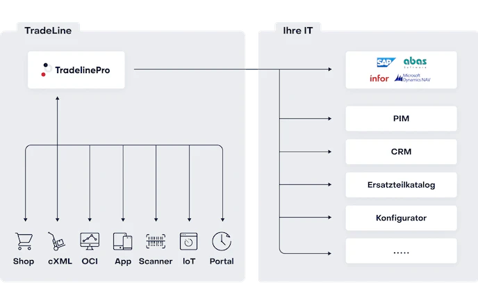 Nahtlose Systemintegration